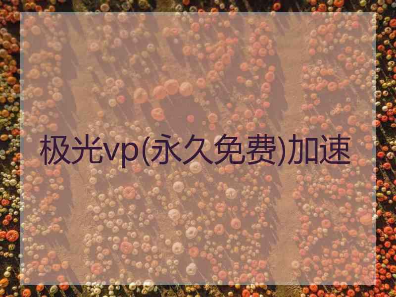 极光vp(永久免费)加速