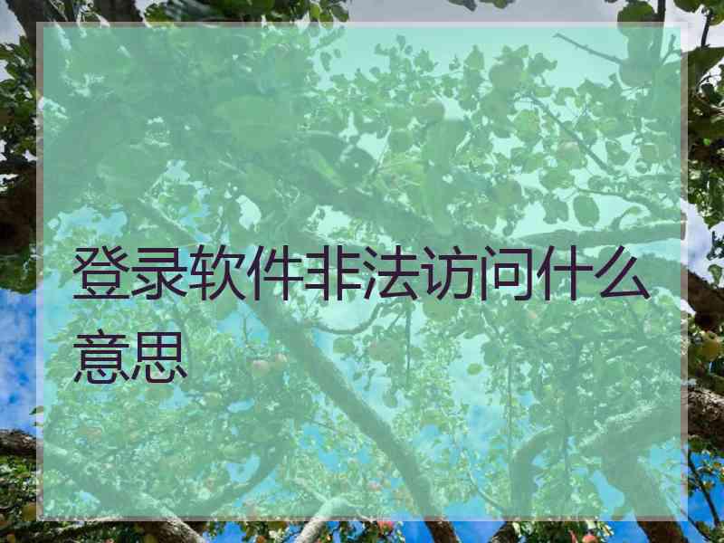 登录软件非法访问什么意思