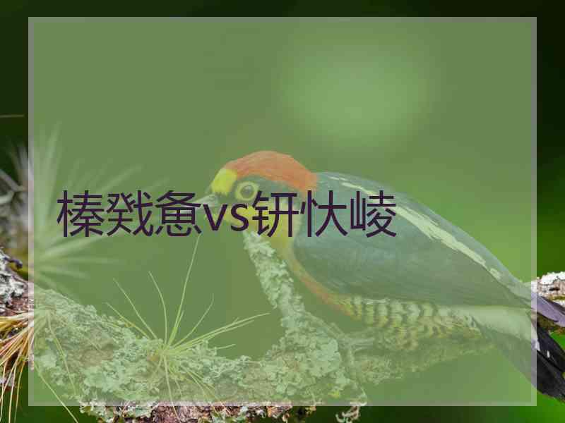 榛戣惫vs钘忕崚