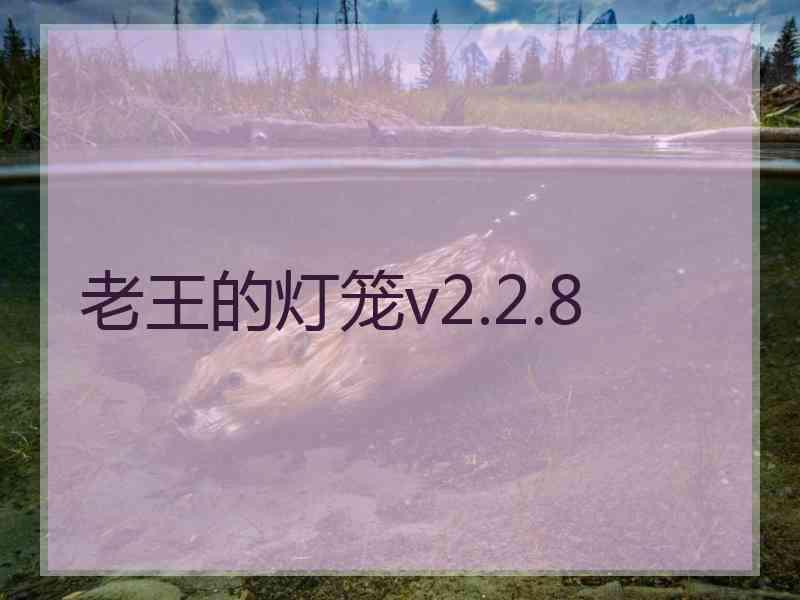 老王的灯笼v2.2.8