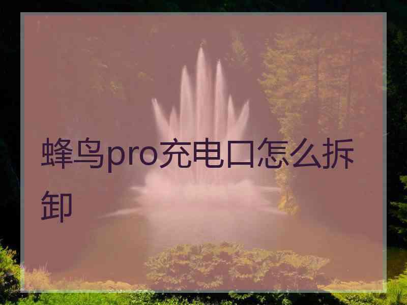 蜂鸟pro充电口怎么拆卸