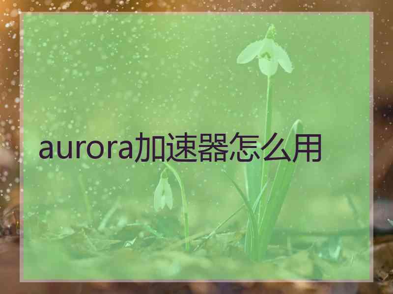 aurora加速器怎么用