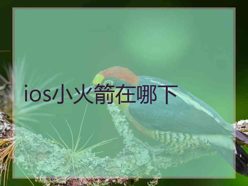 ios小火箭在哪下