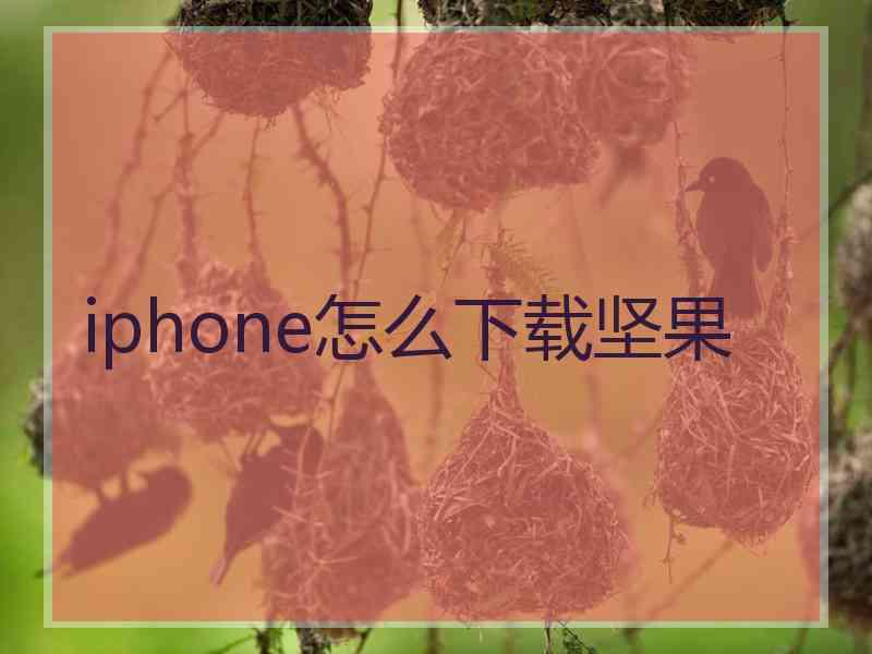 iphone怎么下载坚果