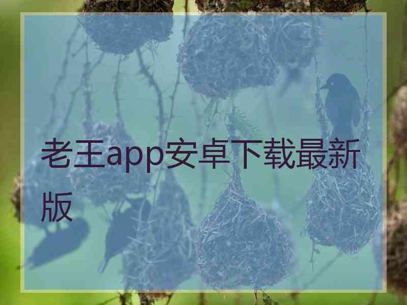 老王app安卓下载最新版