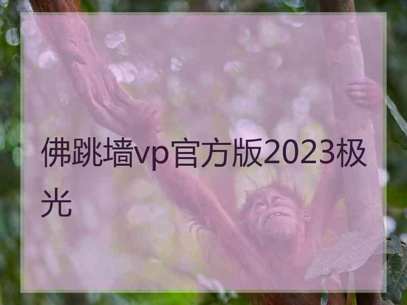 佛跳墙vp官方版2023极光