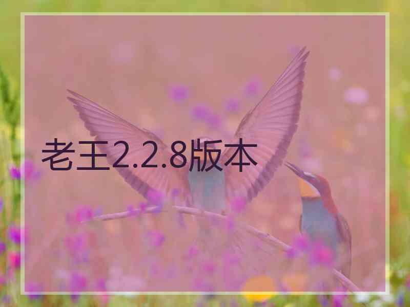 老王2.2.8版本