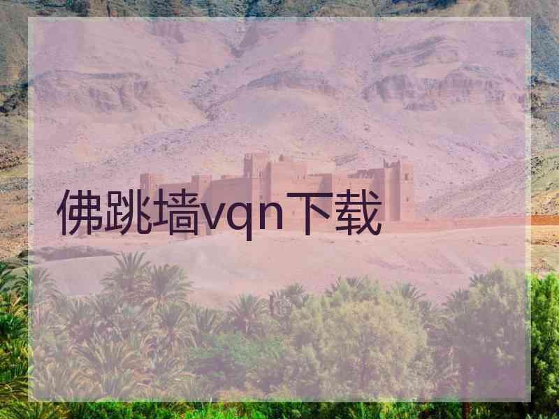 佛跳墙vqn下载