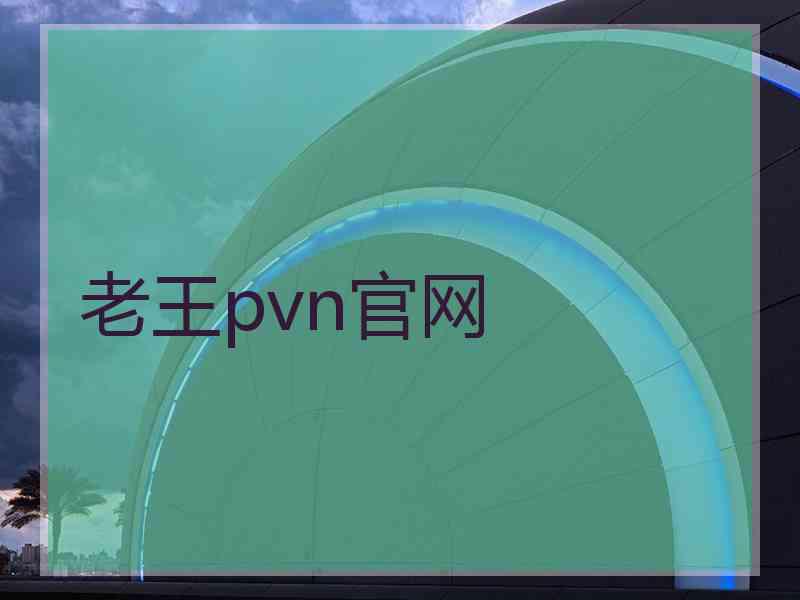 老王pvn官网