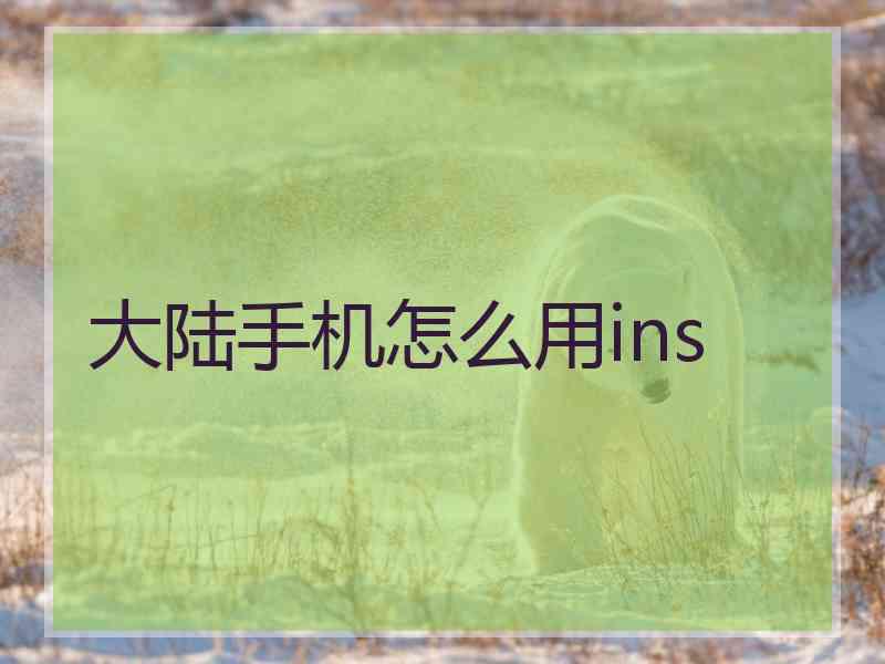 大陆手机怎么用ins