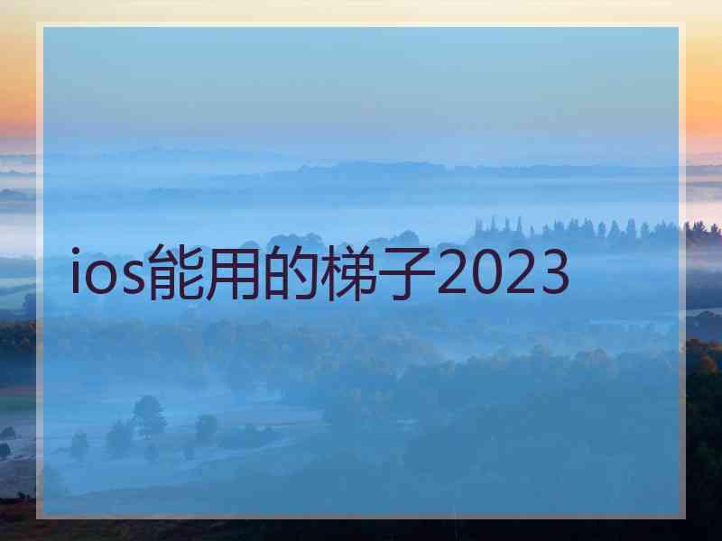 ios能用的梯子2023