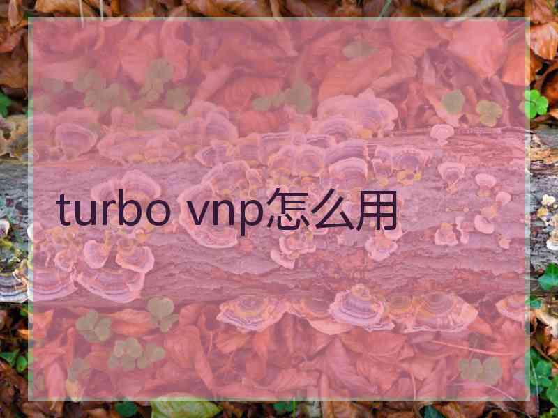 turbo vnp怎么用