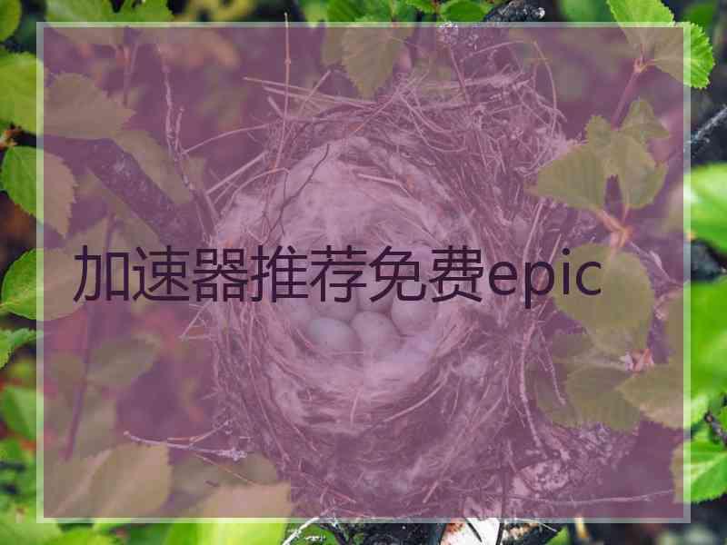 加速器推荐免费epic