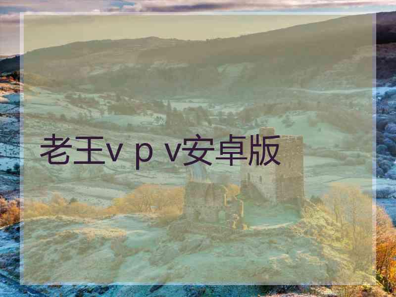 老王v p v安卓版