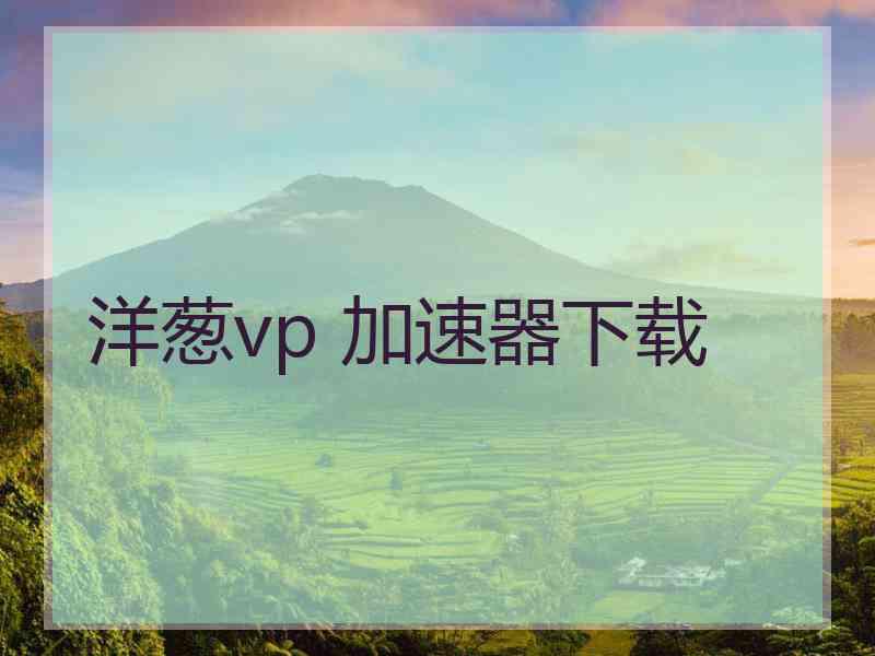 洋葱vp 加速器下载