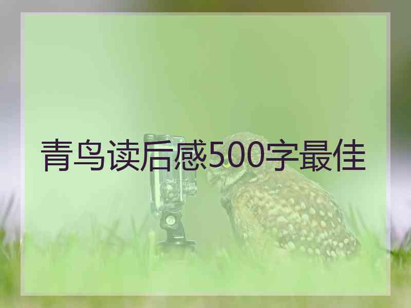 青鸟读后感500字最佳