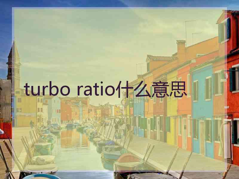 turbo ratio什么意思