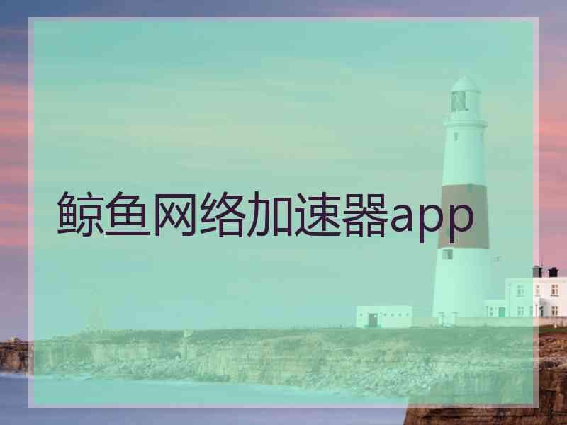 鲸鱼网络加速器app