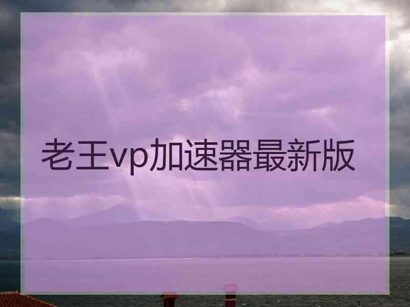 老王vp加速器最新版