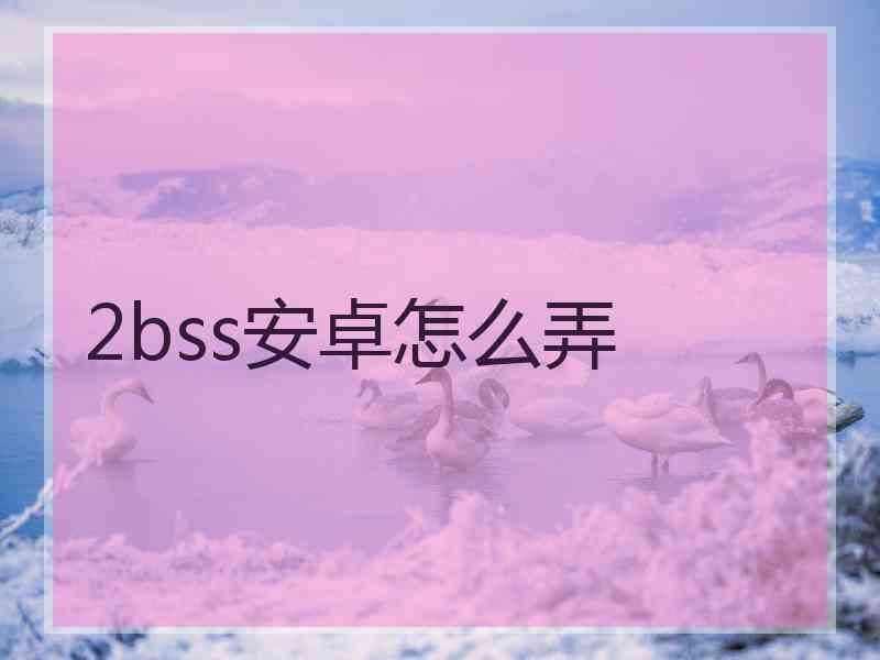 2bss安卓怎么弄