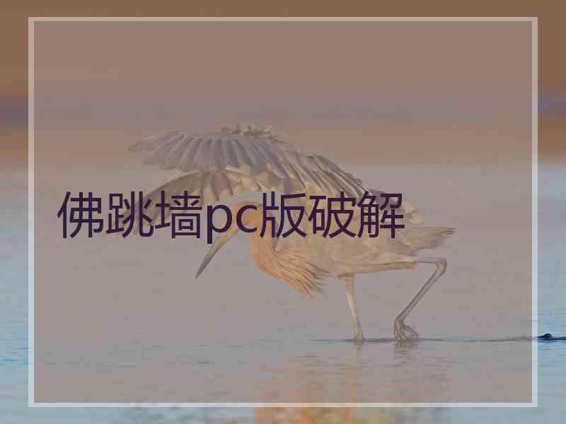 佛跳墙pc版破解