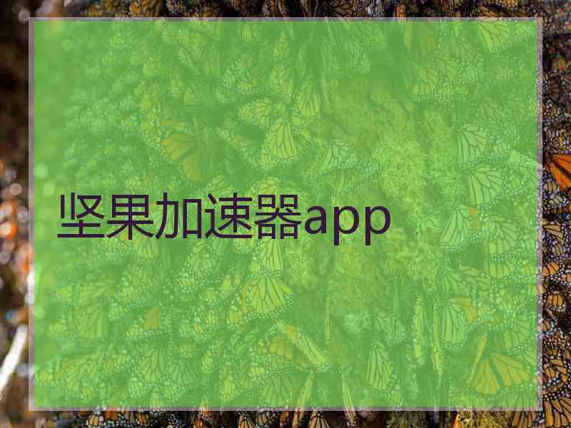 坚果加速器app