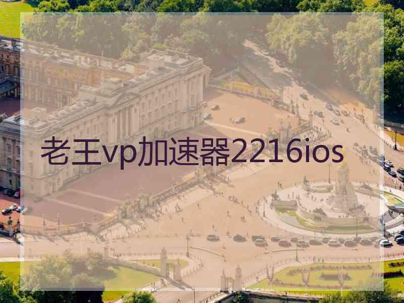 老王vp加速器2216ios