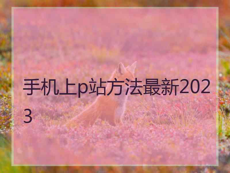 手机上p站方法最新2023