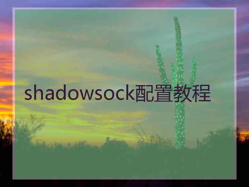 shadowsock配置教程