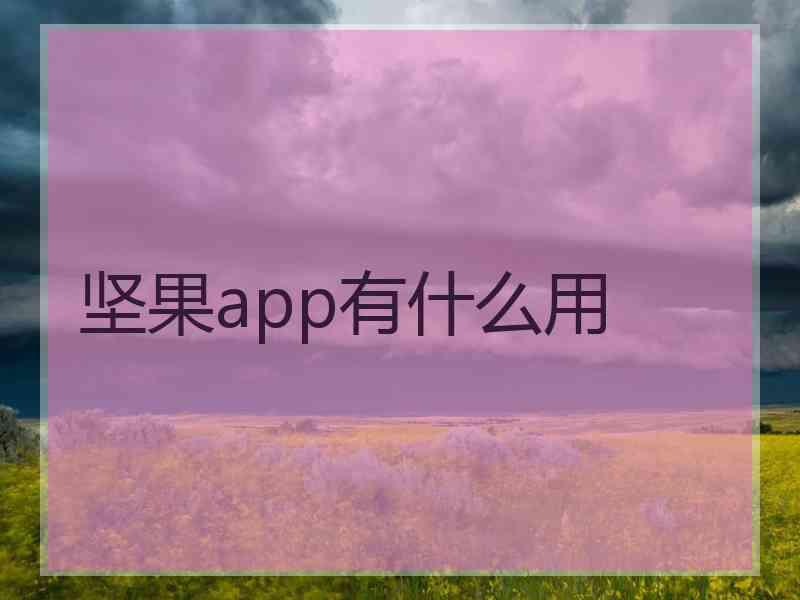 坚果app有什么用