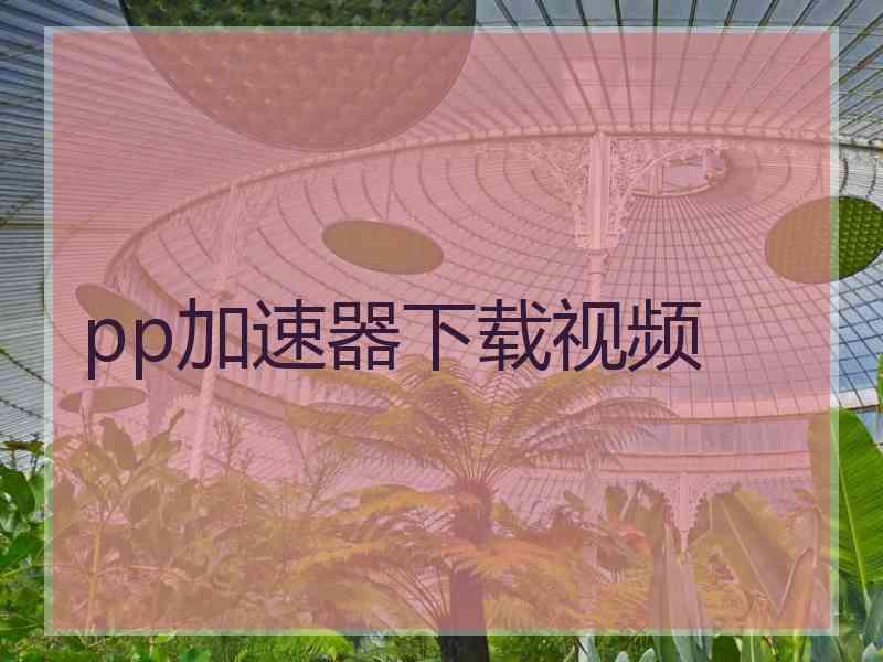 pp加速器下载视频