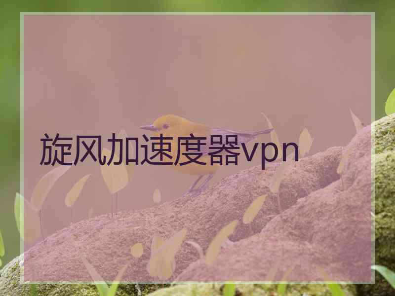 旋风加速度器vpn