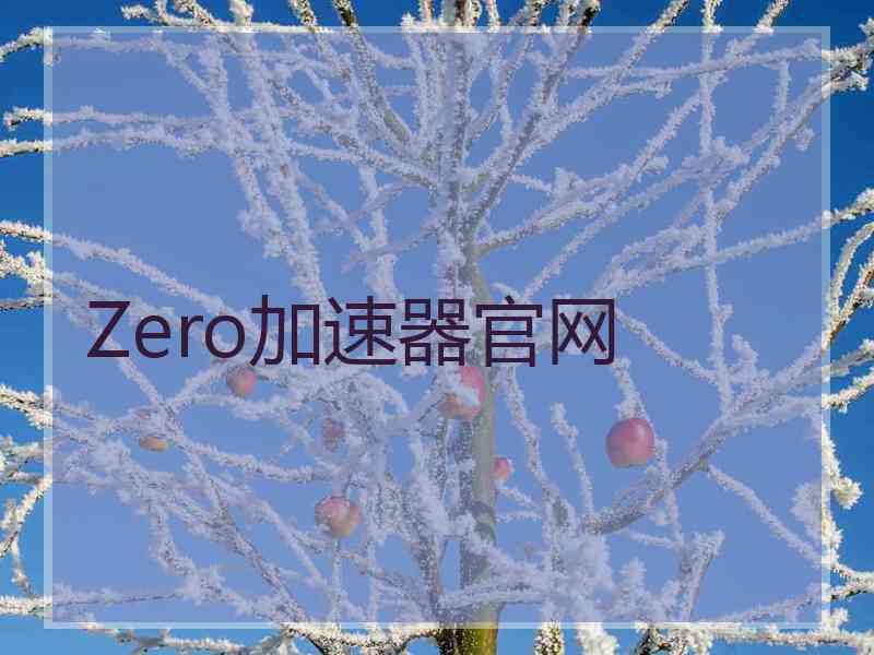 Zero加速器官网