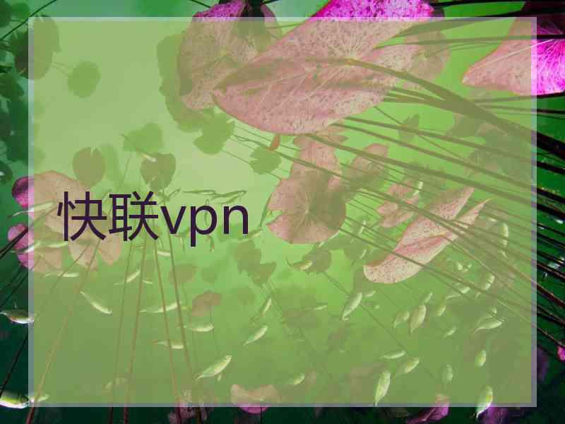 快联vpn