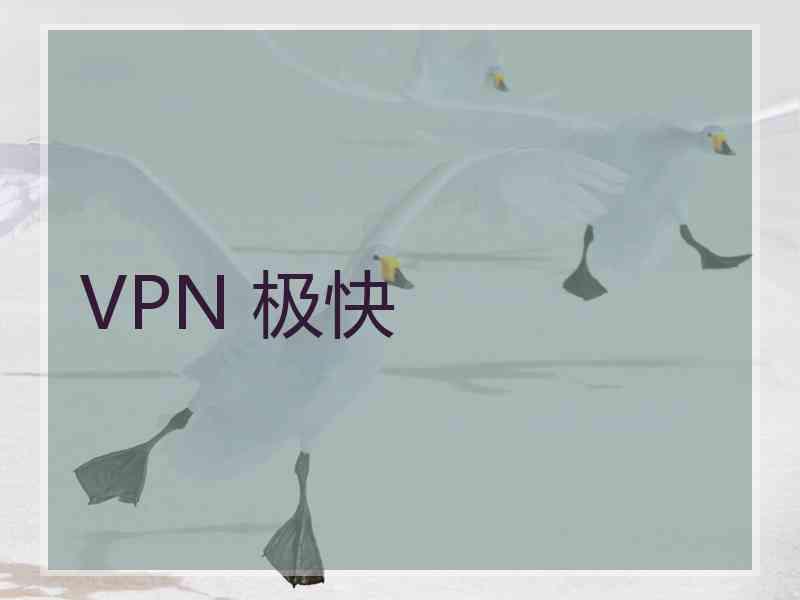 VPN 极快