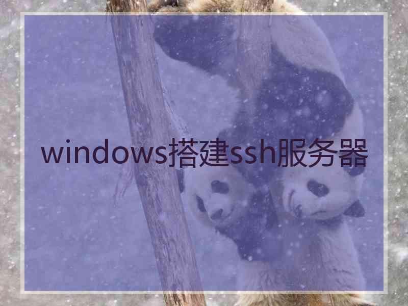 windows搭建ssh服务器