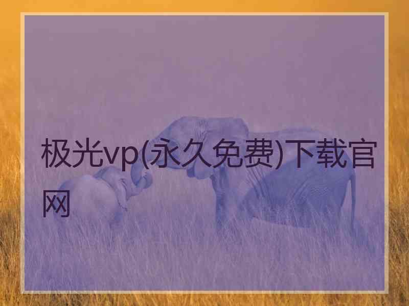 极光vp(永久免费)下载官网