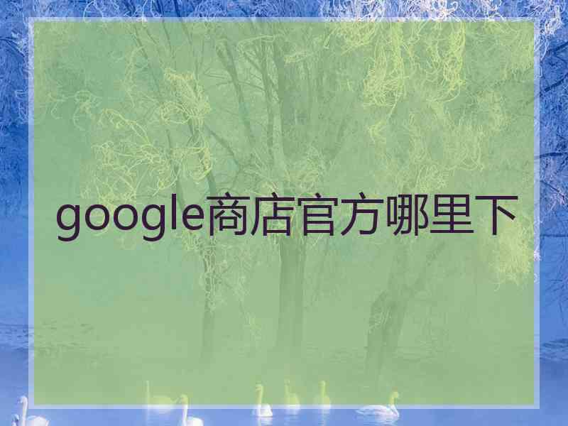 google商店官方哪里下