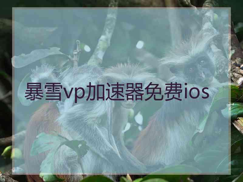 暴雪vp加速器免费ios