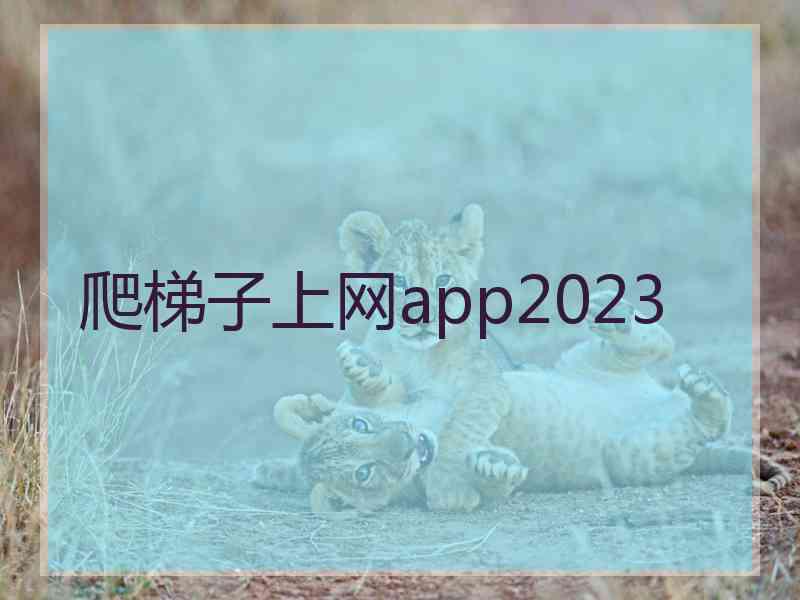 爬梯子上网app2023