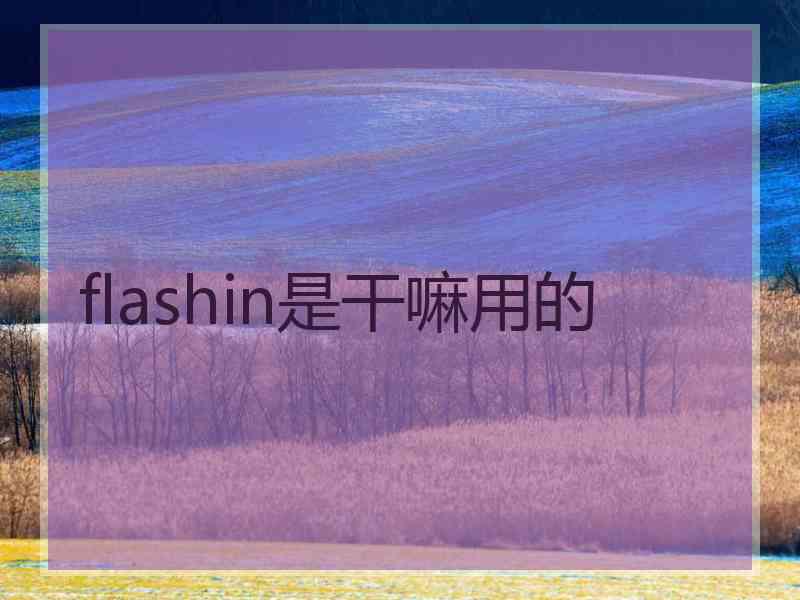 flashin是干嘛用的