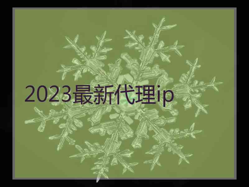 2023最新代理ip