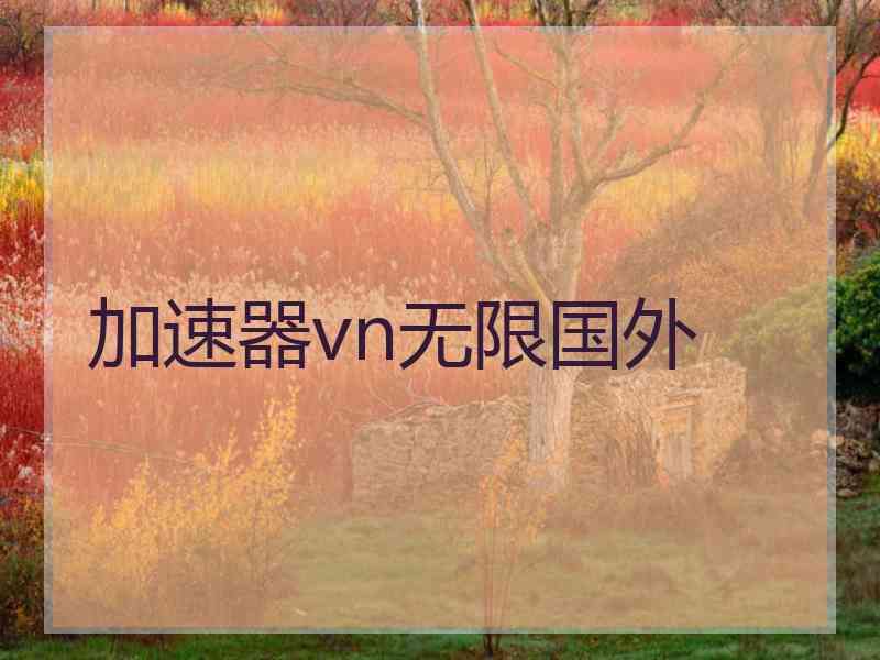 加速器vn无限国外