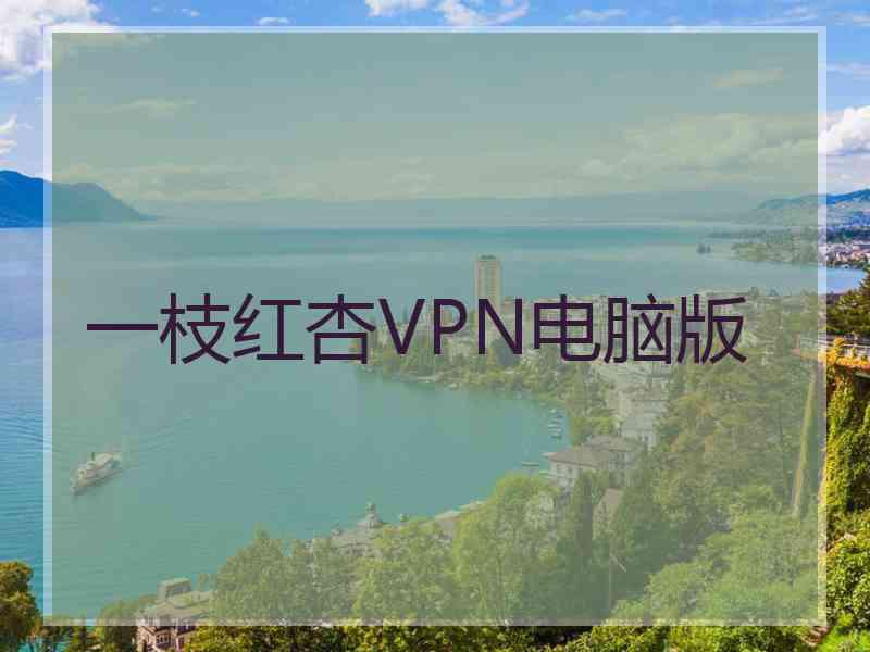 一枝红杏VPN电脑版