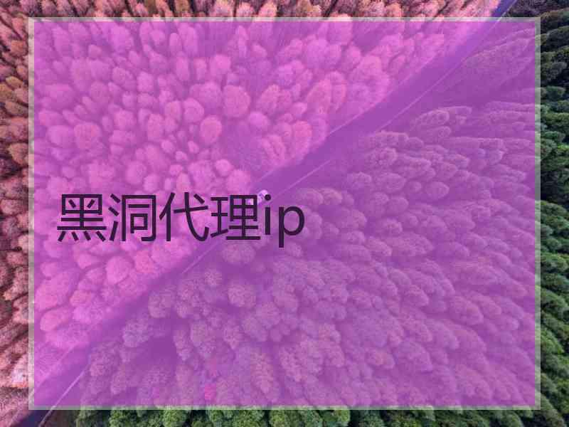 黑洞代理ip