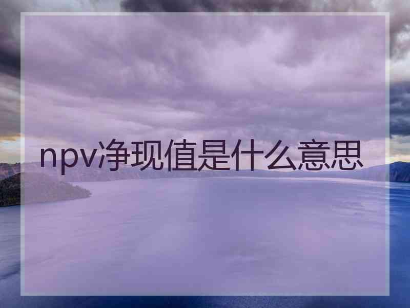 npv净现值是什么意思