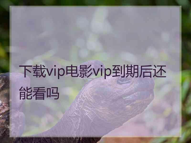 下载vip电影vip到期后还能看吗