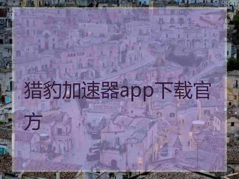 猎豹加速器app下载官方