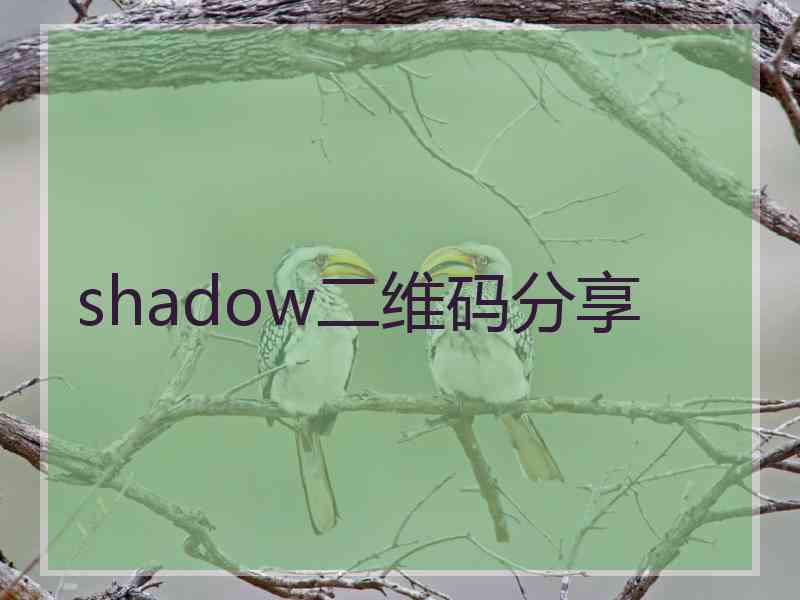 shadow二维码分享