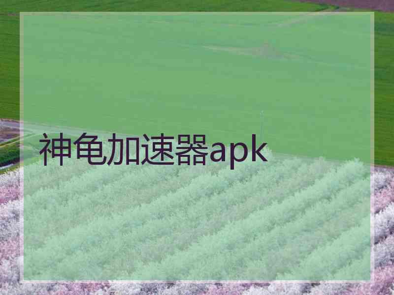 神龟加速器apk